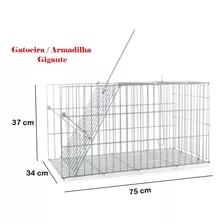 Armadilha Gatoeira Grande Para Gato Gamba Animais Pet