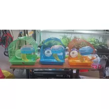 Jaual Para Hamster 619b Con Accesorios 