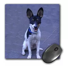 Alfombrilla De Raton 3drose Toy Fox Terrier 2