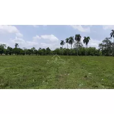 Finca En Venta Con 2 Naves En Bonao, Monseñor Nouel Wpf01