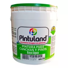 Pintura Para Canchas Y Pisos