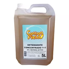 Detergente Madre Concentrado 30% X 5l Dilucion 1+3