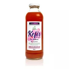 Kefir De Agua Con Flor De Jamaica Probiótico 500ml Salvia