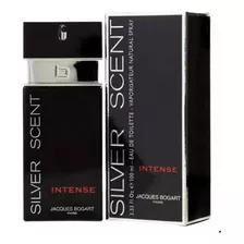 Perfume Masculino Silver Scent Intense 100ml Original C/nfe