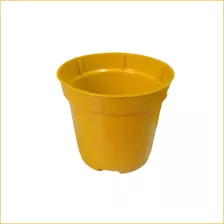 50 Vasos Tamanho 06 Para Cactos E Suculentas Mini Amarelo