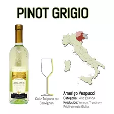 Vino Blanco Pinot Grigio - mL a $111