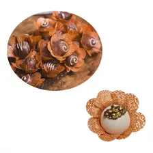 Forminhas Para Doces Cestinha Modelo Princesa 700un Ju Fiori