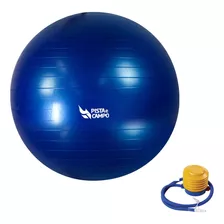 Bola Suiça Pilates 75cm Yoga Abdominais Gym Ball C/ Bomba-az