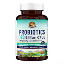 Probioticos Prebioticos Enzimas Digestivas 36 Cepa 120billon