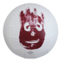 Tercera imagen para búsqueda de balon volleyball wilson