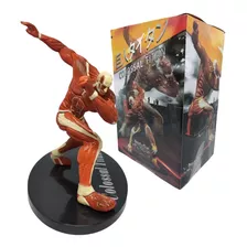 Figura Titan Colosal Attack On Titan En Su Caja