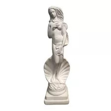 Imagem Mulher Deusa Venus 25cm Escultura De Gesso Cru