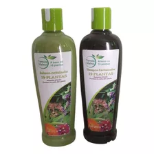 Tratamientos Naturales Para El Cabello 19plantas