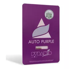 Purple Auto Pyramid X3+1