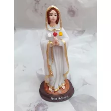 Imagem De Nossa Senhora Rosa Mística 12cm Resina 