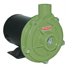 Bomba Centrífuga Centrífuga Trifásica Schneider Bc Bc-92s 1c 1.5cv Cor Verde 60hz 220v/380v