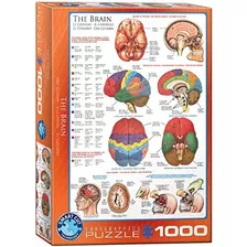 Eurographics Cuerpo Humano (el Cerebro) Puzzle De 1000 Pieza
