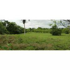 Finca De 97 Tareas En Venta Con Rio 