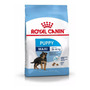 Royal Canin Maxi Puppy X 15 Kg. Sabuesos Vet (ex Junior)