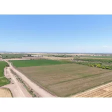 Terreno Agricola En Venta En El Ejido Campo En Cd Obregon