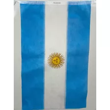 Bandera Argentina 45x25 Cm Friselina