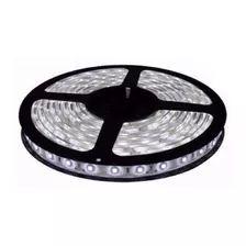 Tira Led Mayorled 5050 Blanca Fría 5m 12v Ip65 Luces Led Color De La Luz Blanco Frío