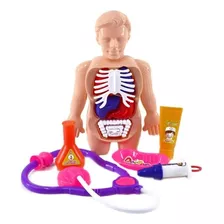 Juguete Didáctico Modelo Anatómico Del Cuerpo Humano Niños