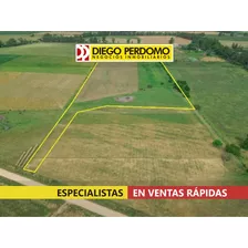 Chacra De 6hás En Venta, Rincón Del Pino