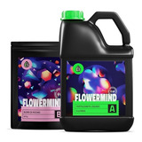 Kit NutriÃ§Ã£o Fertilizante Flowermind G - 5 Litros 625 Gramas