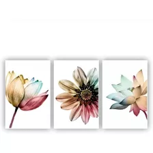 Quadros Decorativos 3 Pçs 20x30 Floral Colorido Flores