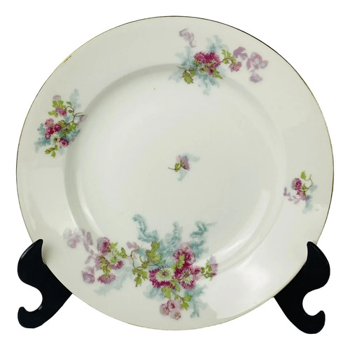Conjunto 9 Pratos Limoges França Floral 23cm Antigo Branco Florido