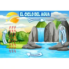 Poster Educativo El Ciclo Del Agua A3+ Fotográfico