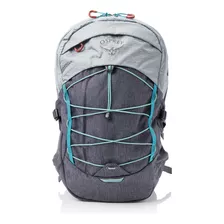 Osprey Quasar 26 - Mochila Para Laptop, Forro Plateado/visio