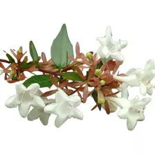 Abelia Mudas Kit60 Mudas Jardineiro Plantas De Condomínio