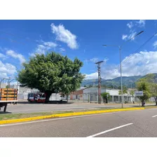 Galpón En Alquiler En San Cristóbal Sector La Rotaria 