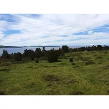 Se Vende Hermoso Terreno 72 Ha Isla Laitec Con Acceso Al Mar