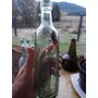 Segunda imagen para búsqueda de ginger ale lautaro