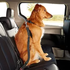Cinturón De Seguridad Ajustable Retráctil Perro Mascota Auto