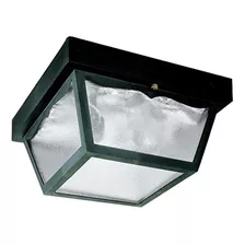 Westinghouse Lighting 6682300 Panel De Vidrio Transparente P