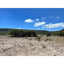 Rancho De 9500 Hectareas Entre Queretaro Y Guanajuato - Venta