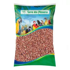 Sorgo Vermelho - Sorgo Marsala - 5kg