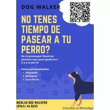 Paseador De Perro 