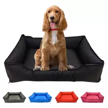 Cama Para Pet Retangular Impermeável M Lavável Com Zíper, Cor Preto