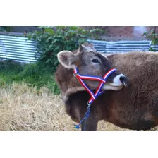 Jaquimas Para Toros,vacas Y Otros