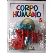 Corpo Humano Fasciculo 67 - Novo Lacrado Com A Peça - Salvat