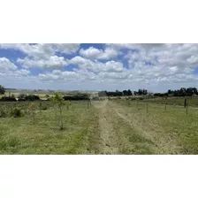 ¡tu Sueño Rural Hecho Realidad! Chacra De 5 Hectáreas En José Ignacio Espera Por Ti!