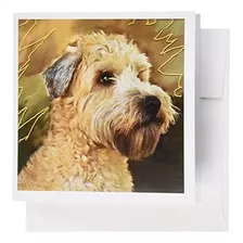 Soft Coated Wheaten Terrier Portrait - Greeting Cards, ...