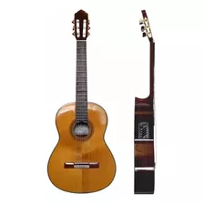 Guitarra Erasmo Falcon