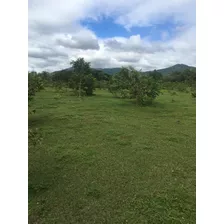 Te Vendo Excelente Solar En La República De Colombia