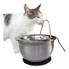 Fonte Bebedouro Para Gatos 100% Aço Inox - Gato É Vida